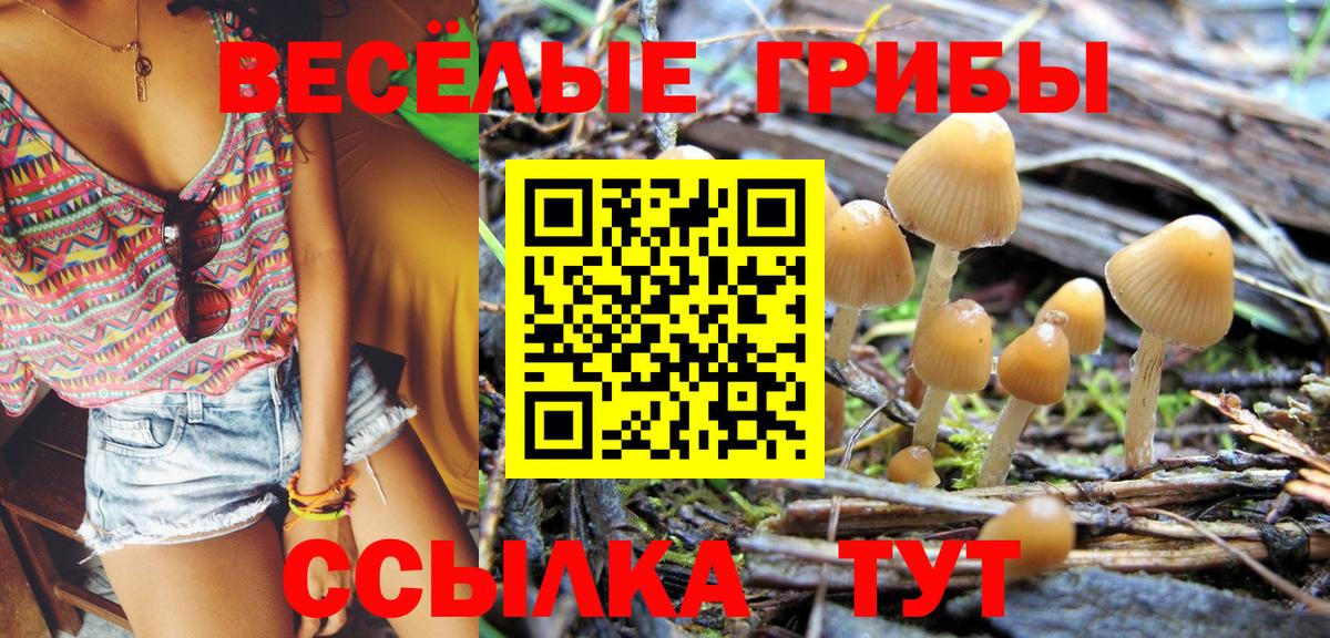 Галлюциногенные грибы MAGIC MUSHROOMS Строитель
