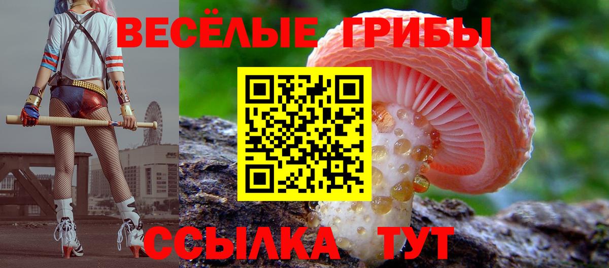 Галлюциногенные грибы мицелий  купить закладку  Строитель  Вход с VPN 